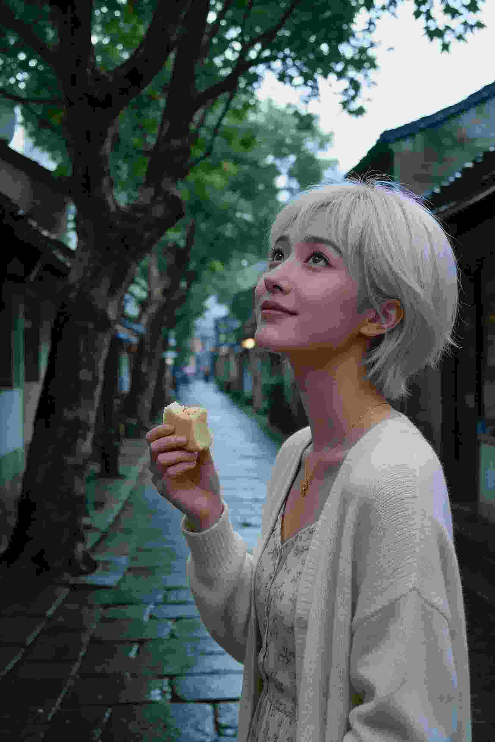 《空中的梦想》