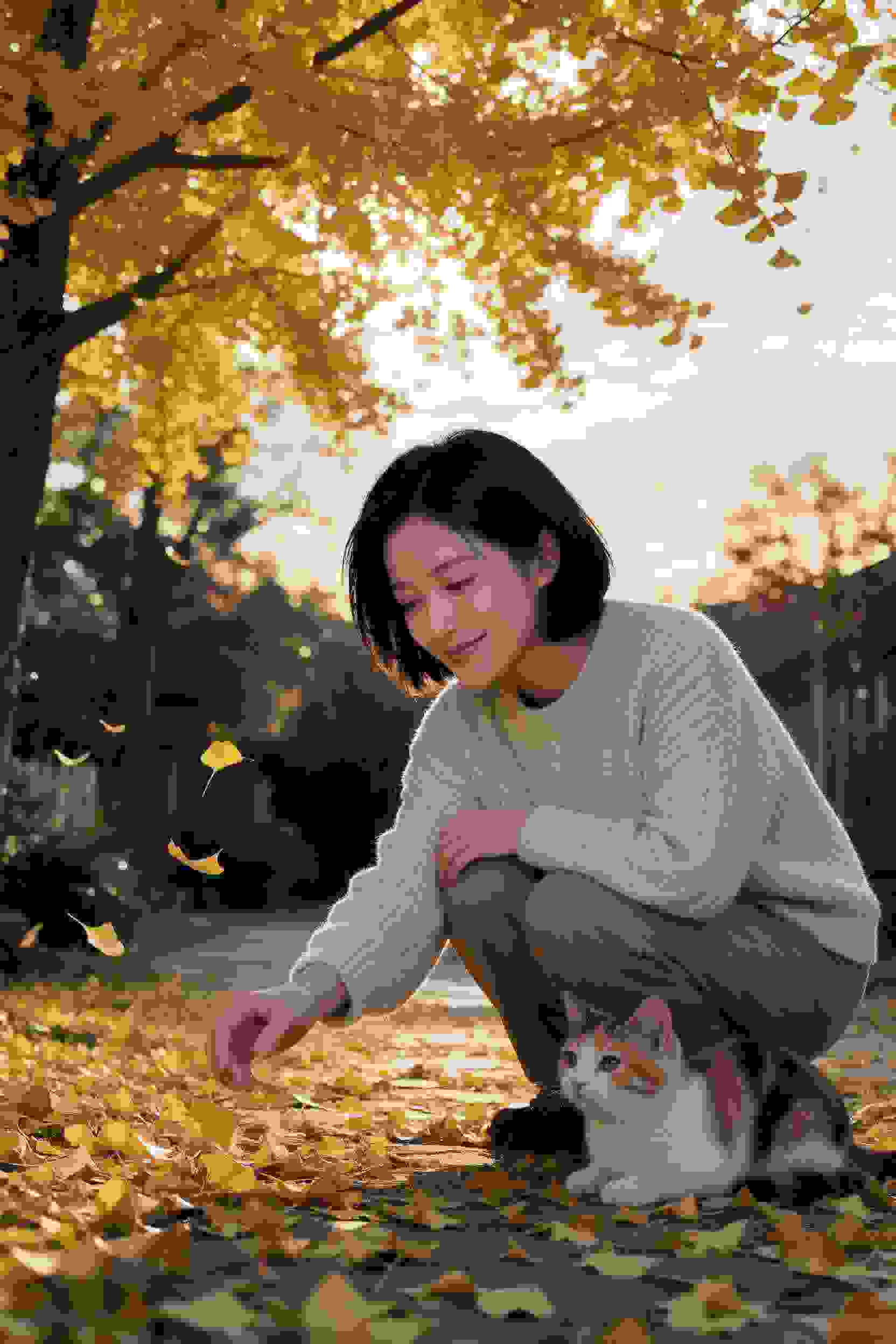 《日落时的相遇》